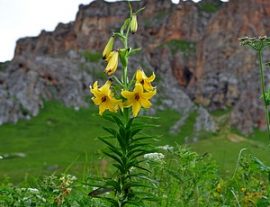 САМЫЙ СЧАСТЛИВЫЙ ДЕНЬ