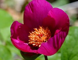 Йога-тур в апреле