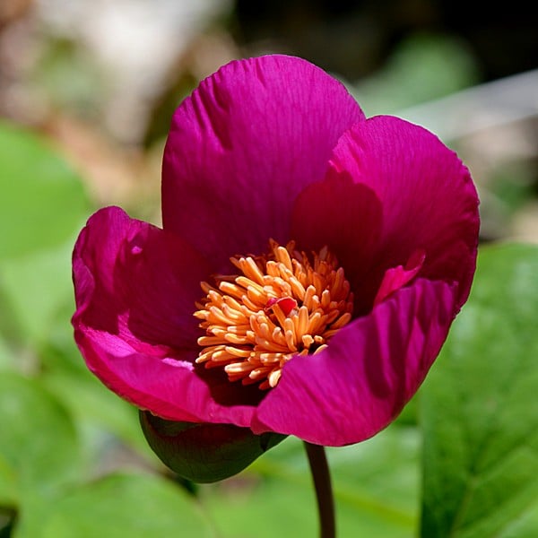 Йога-тур в апреле