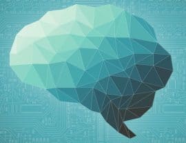 Перезагрузка: новые нейронные связи